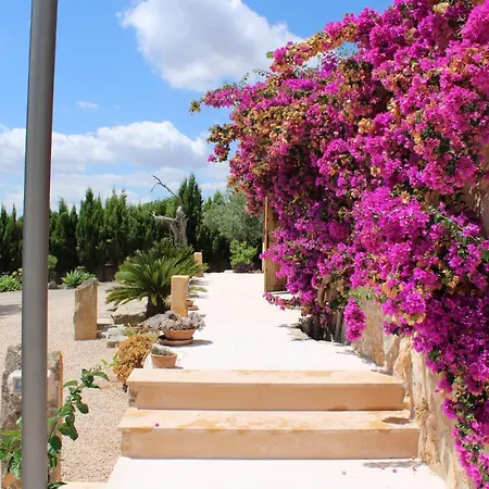 Son Pereto Villa Manacor (Mallorca)